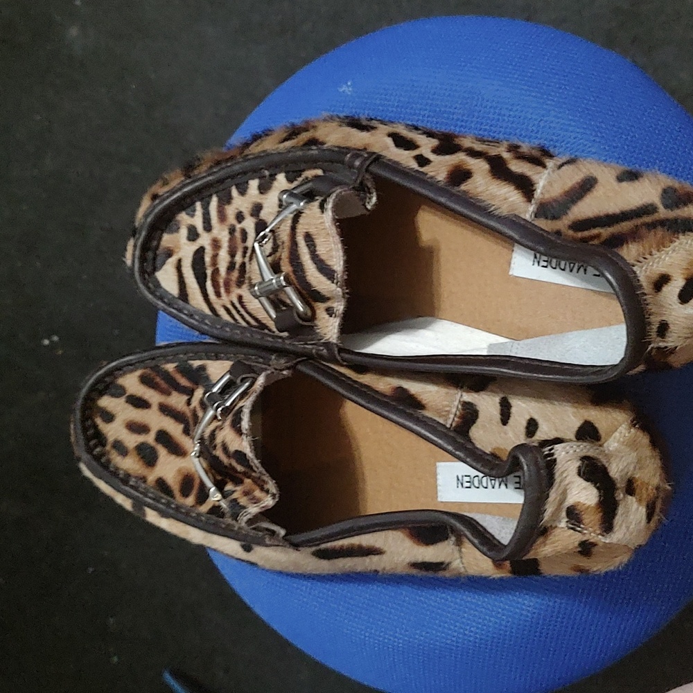 leopard print Steve Madden